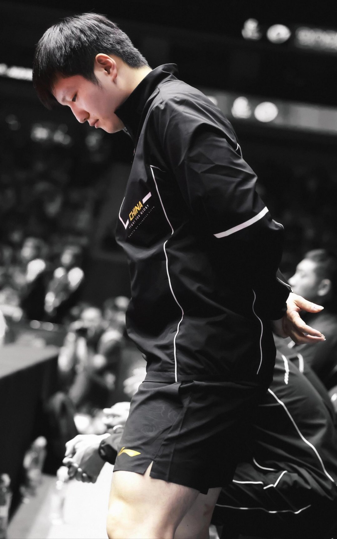 温柔且坚定，是樊振东 