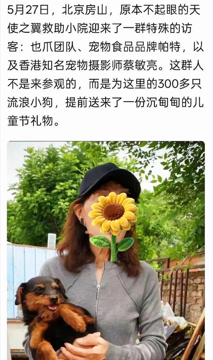 这些行为表明，他们是狗？