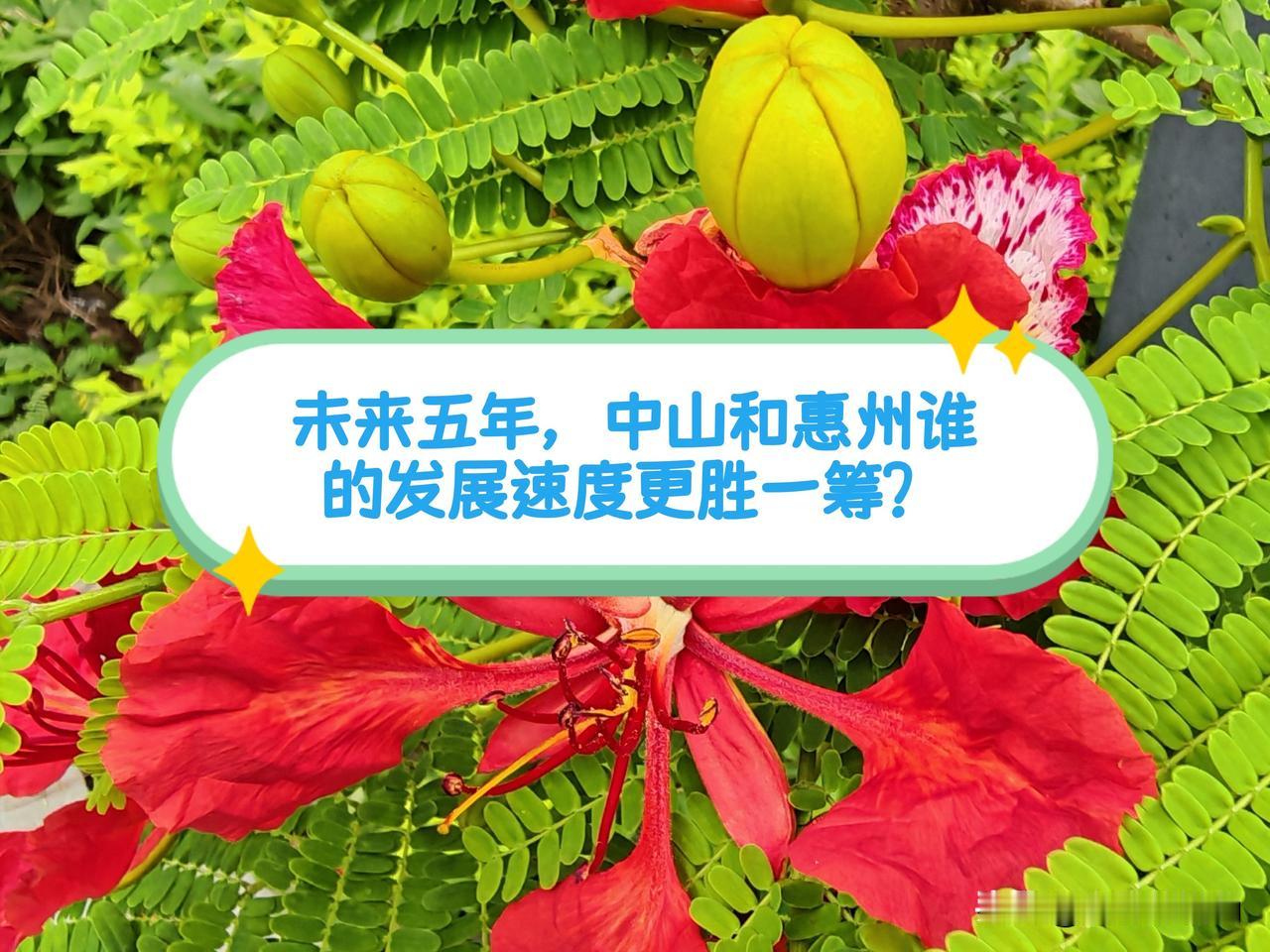 未来五年，中山和惠州谁的发展速度能更胜一筹？虎哥先给出个人结论：未来五年，中山的