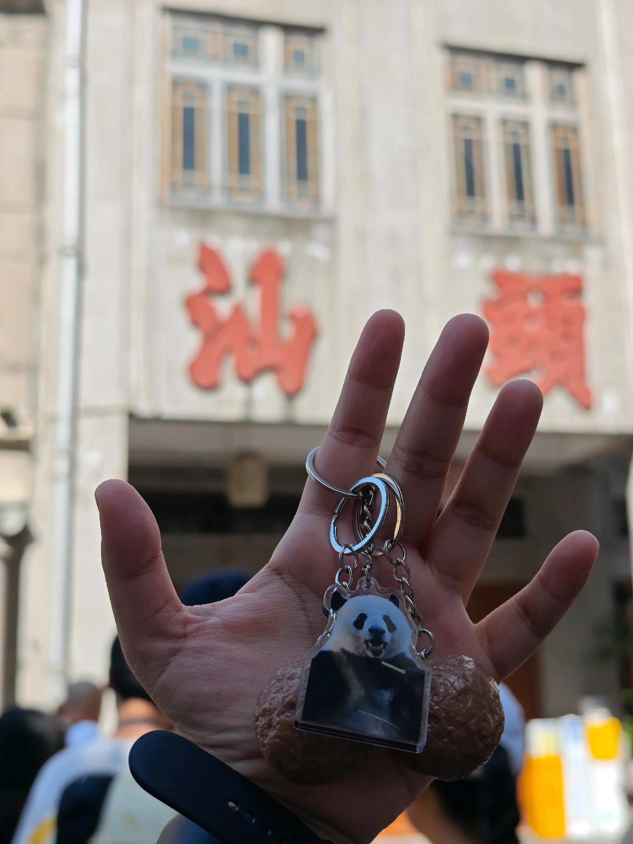 带着星一，展开牛肉丸之旅。