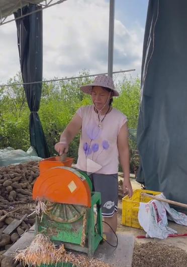[笑]全红婵的妈妈真是个传奇！她把卖不掉的小红薯打成细丝晾干，冬天没饲料时就拿来