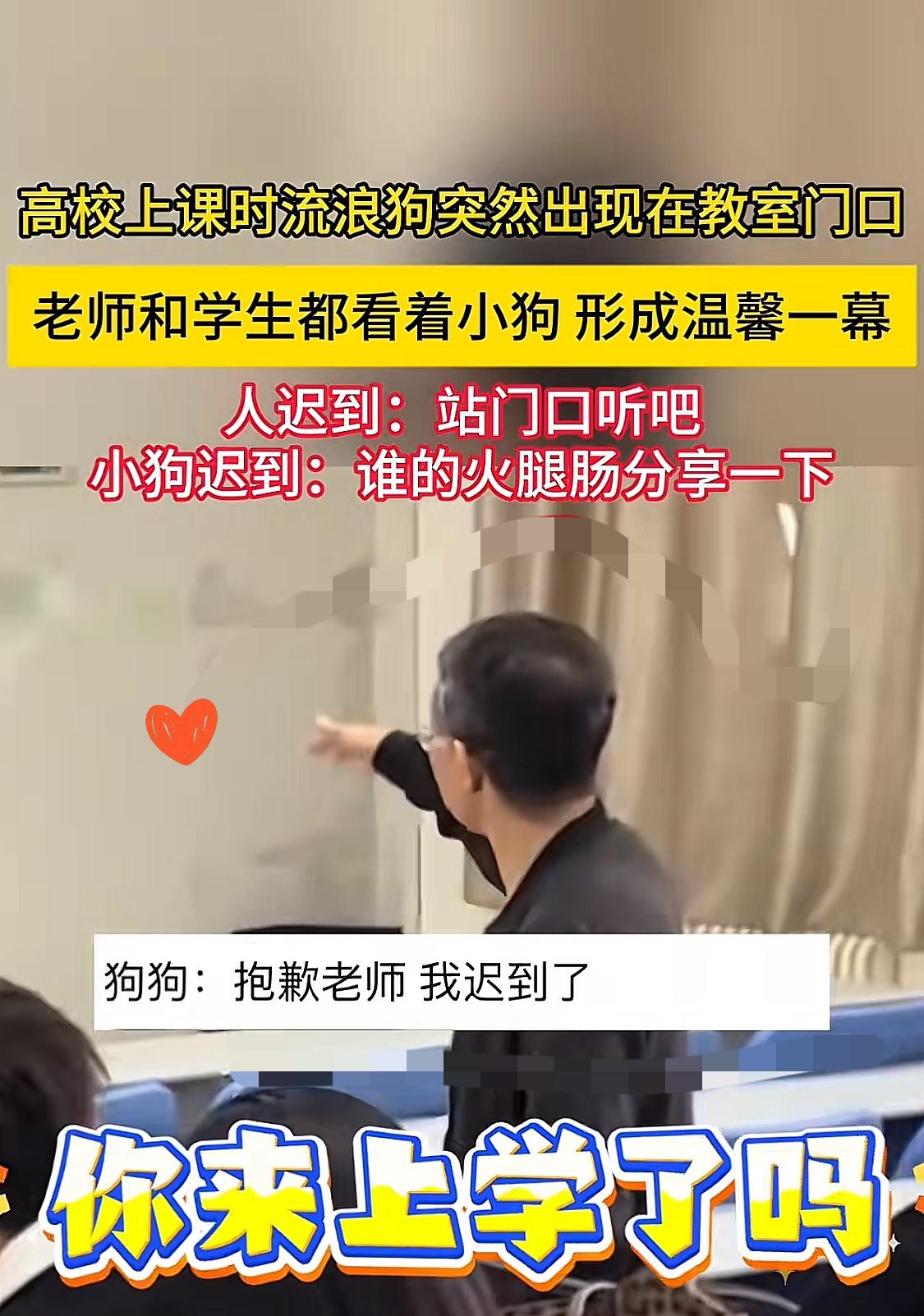 陕西某大学教室门口一名老教师正在给学生上课，
突然，一只流浪狗出现在教室门口，