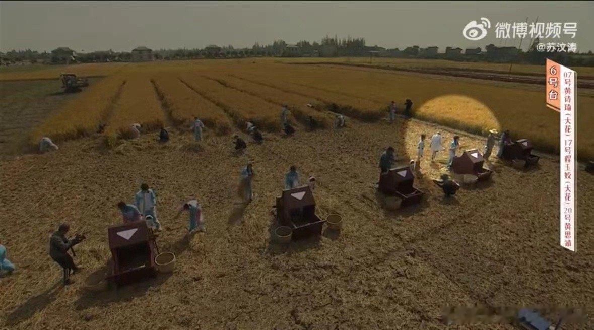 #姚晨踩打谷机演赶早高峰的我# 姚晨在《花儿绽放》里踩打谷机，那拼命劲儿宛如我赶