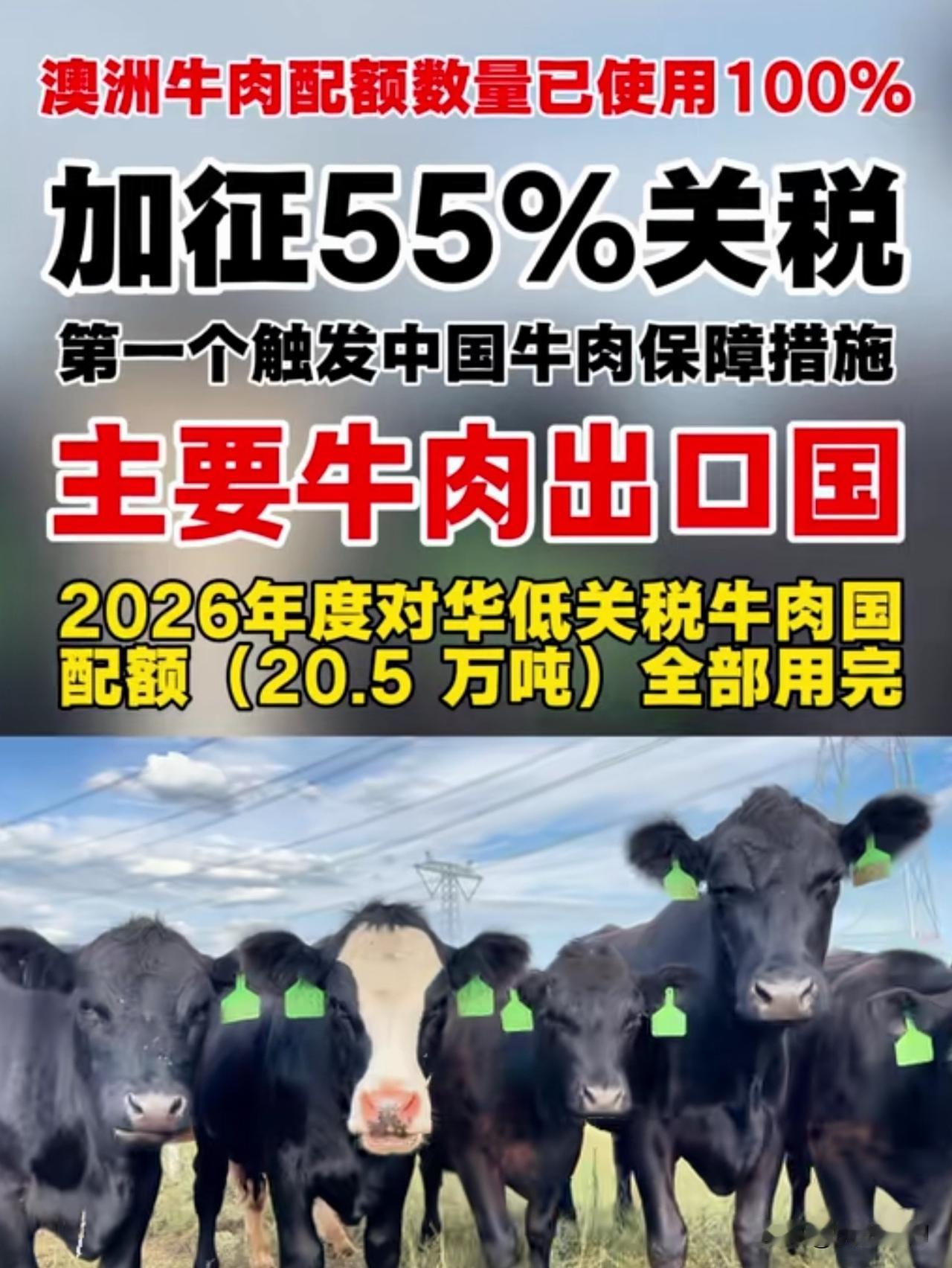 对澳大利亚进口牛肉加征55%关税
澳企在巴西搞稀土小动作

用大白话来拆解一下：