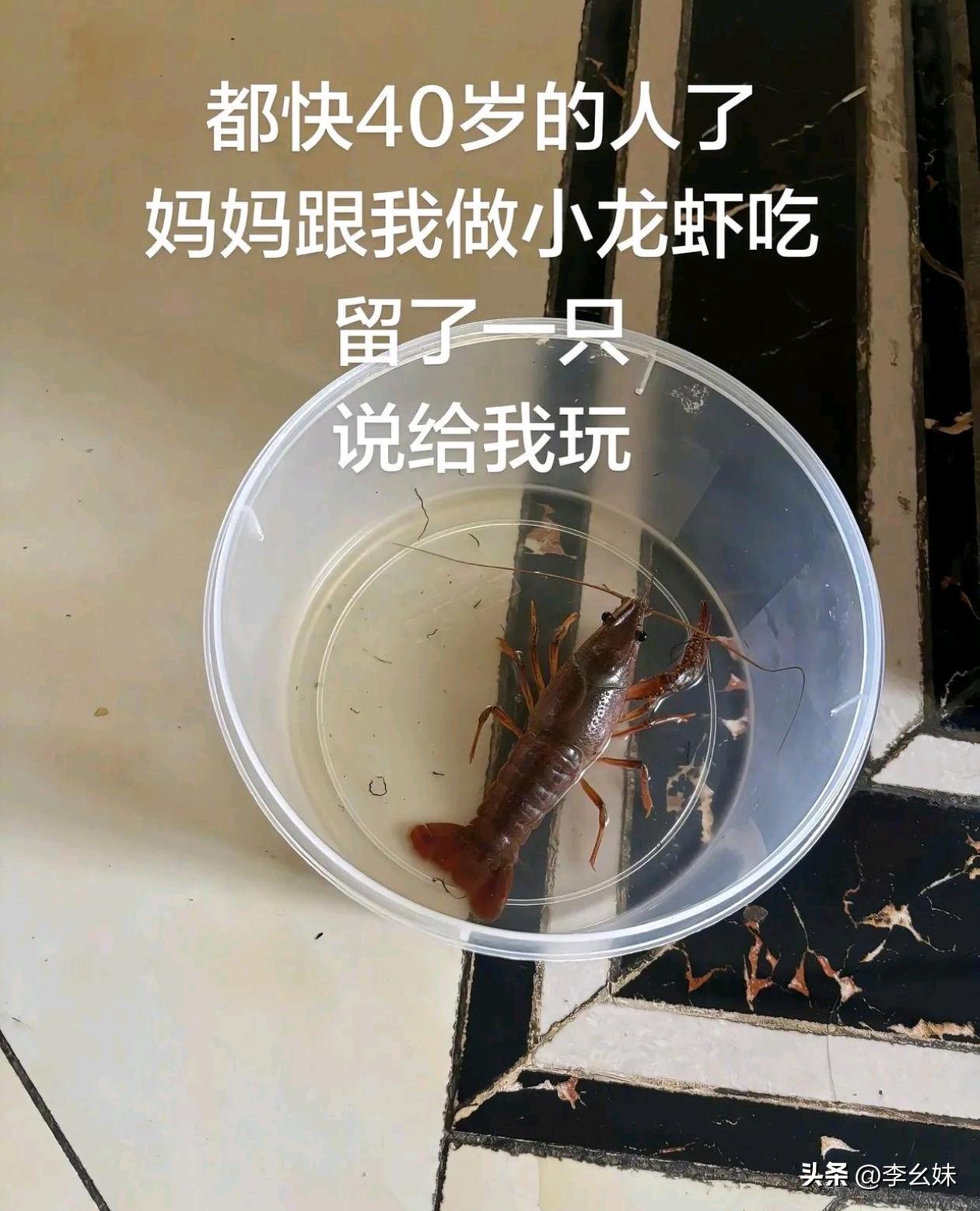 再大的人在母亲面前也永远是个孩子