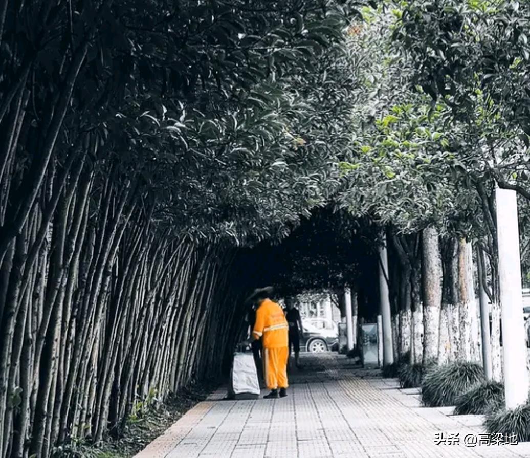 不必远走天涯去问道。闹市喧嚣，亦是修行之所。人群往来，荣辱起落，若能守住内心方寸