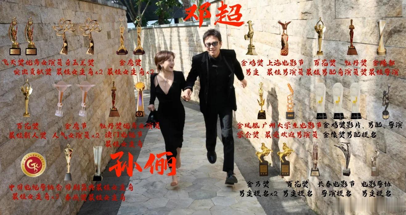 华语演员夫妻组合影视剧奖项实绩：徐峥陶虹把主流的奖杯凑齐了；夏雨袁泉早早就志不在