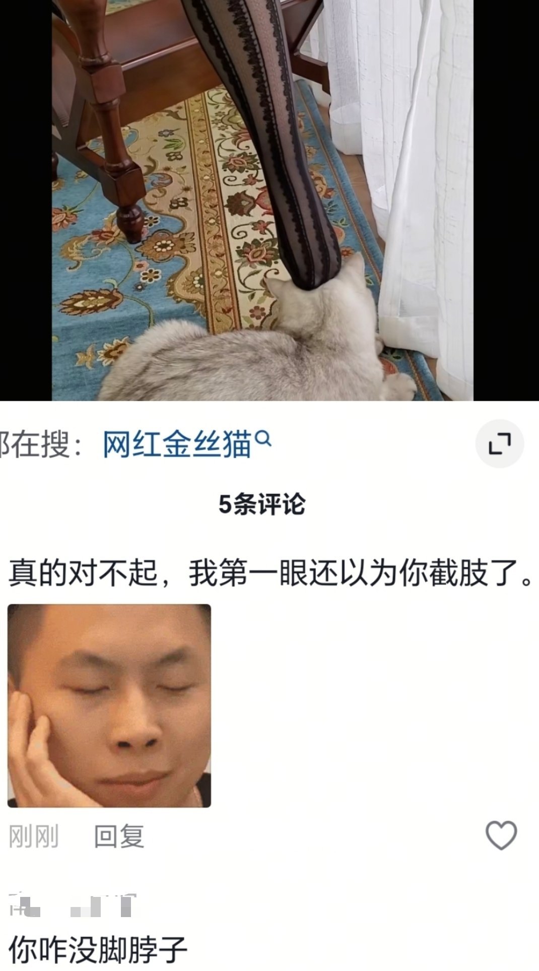 哈哈哈哈哈 