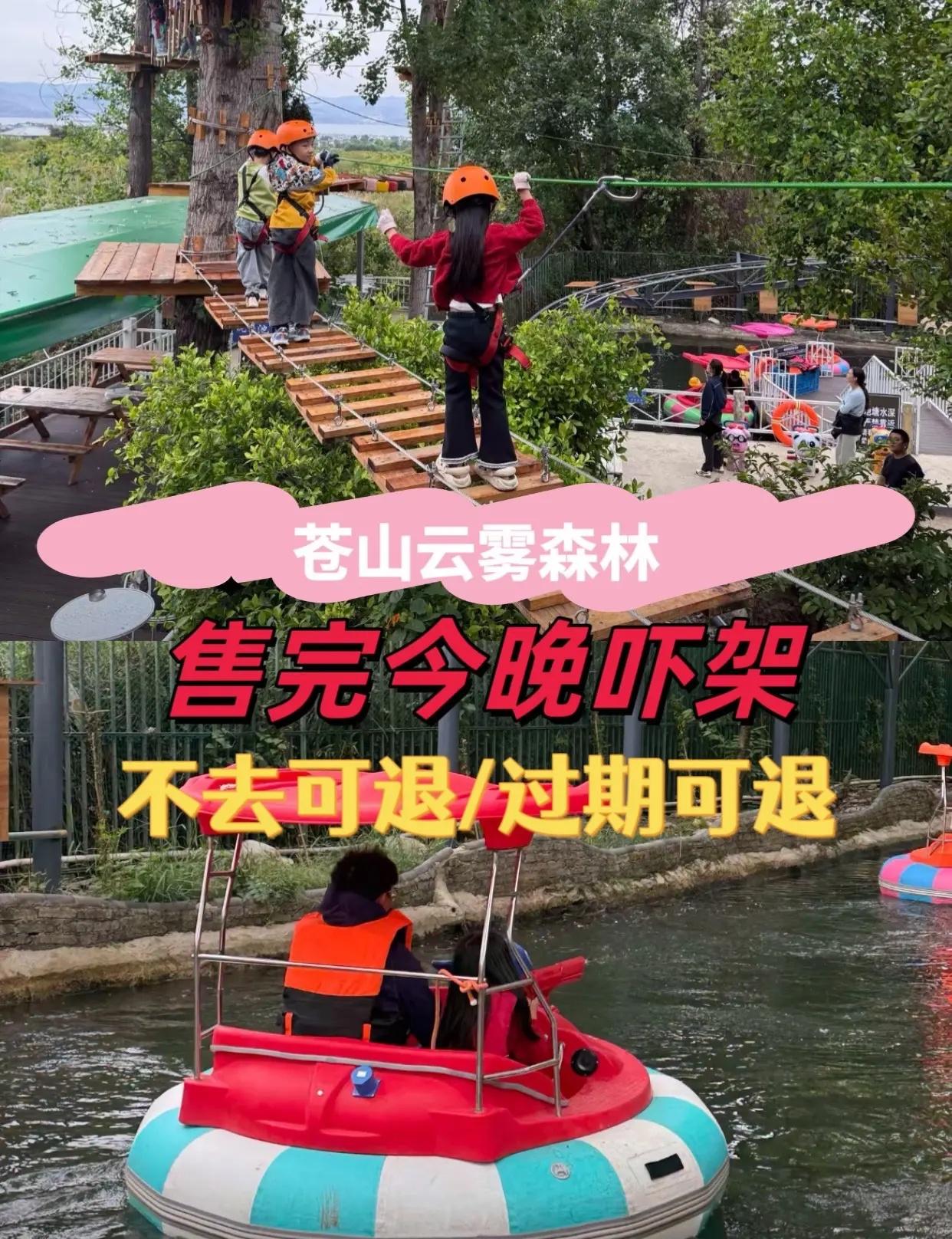 苍山云雾森林。亲子户外旅游推荐 旅游攻略 山野乐园游玩攻略 周末游玩好去处