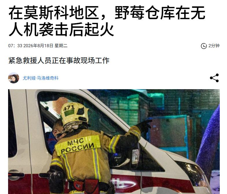 昨晚还在说呢，这个乌鸟吃野莓的瘾儿啊咋还没犯呢！这不，又犯了啊！