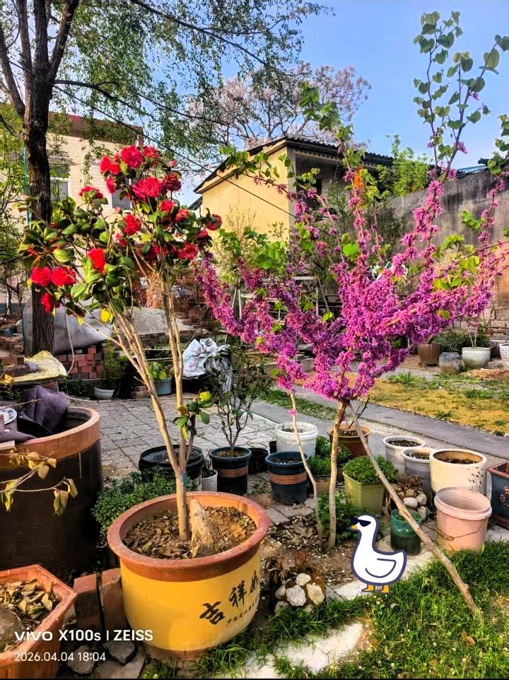 不是说付出就一定马上有回报，但不付出肯定啥都没有。很多时候努力不会立刻见效，坚持