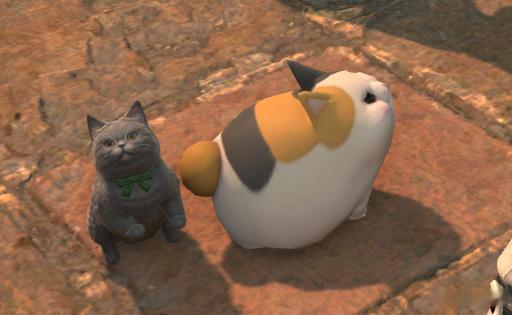 两只小猪... 