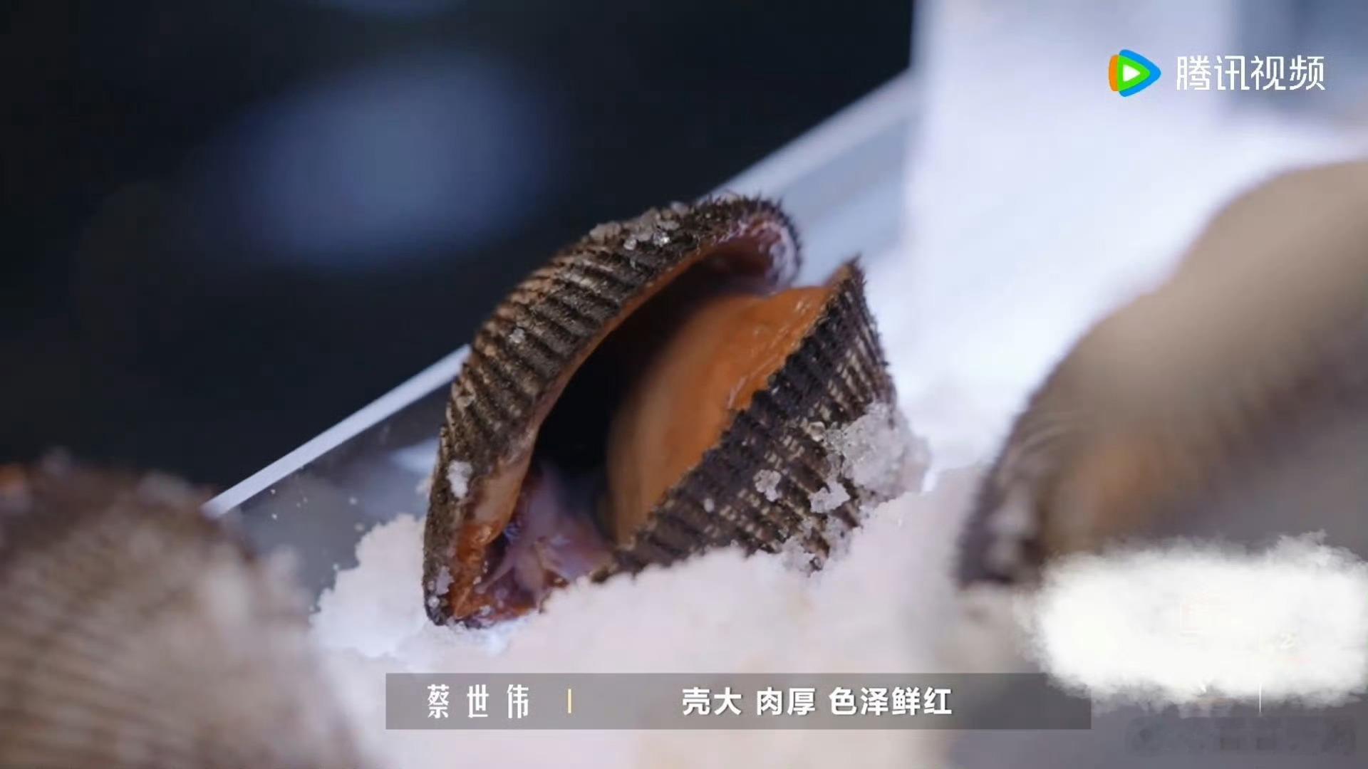 原来赤贝原产地是辽宁旅顺东北人有自己的刺身🌊旅顺冷水海域孕育出肥厚赤贝，生食脆