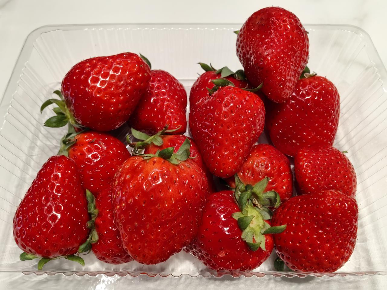 这么漂亮的草莓你吃过吗？
      看到水果店里的草莓一个个红得锃亮，晶莹剔透