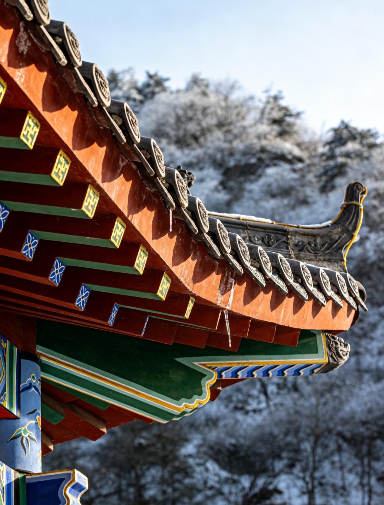 探索雪中秘境
📍宝鸡 陕西野河山生态旅游景区
🌿满山云雾像裹了层轻纱，走进去