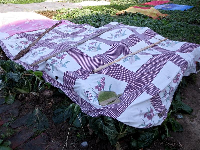 关于“床单多久洗一次才算卫生”，其实并没有一个绝对唯一的标准，它取决于你所处的季