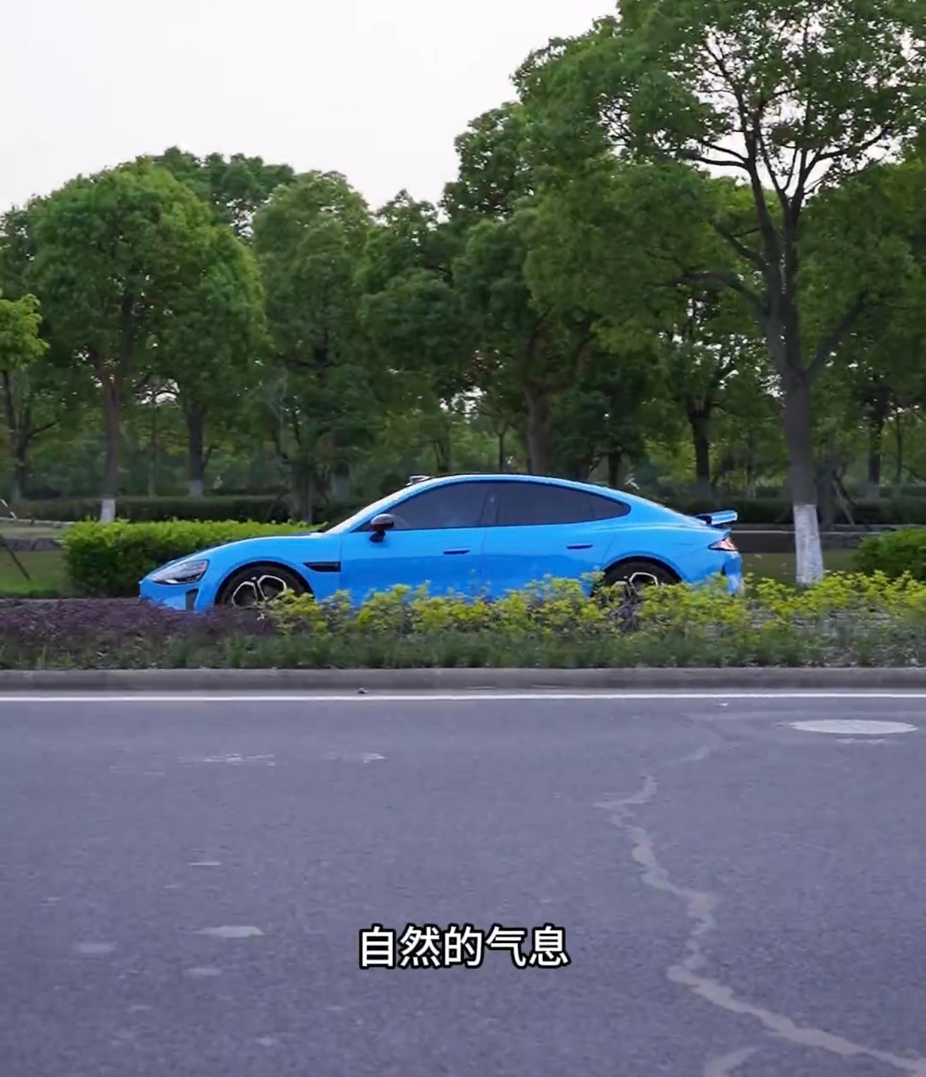 卡布里蓝是什么味道 看到主厨戴广坦以小米SU7卡布里蓝车漆为灵感，复刻同色调料理