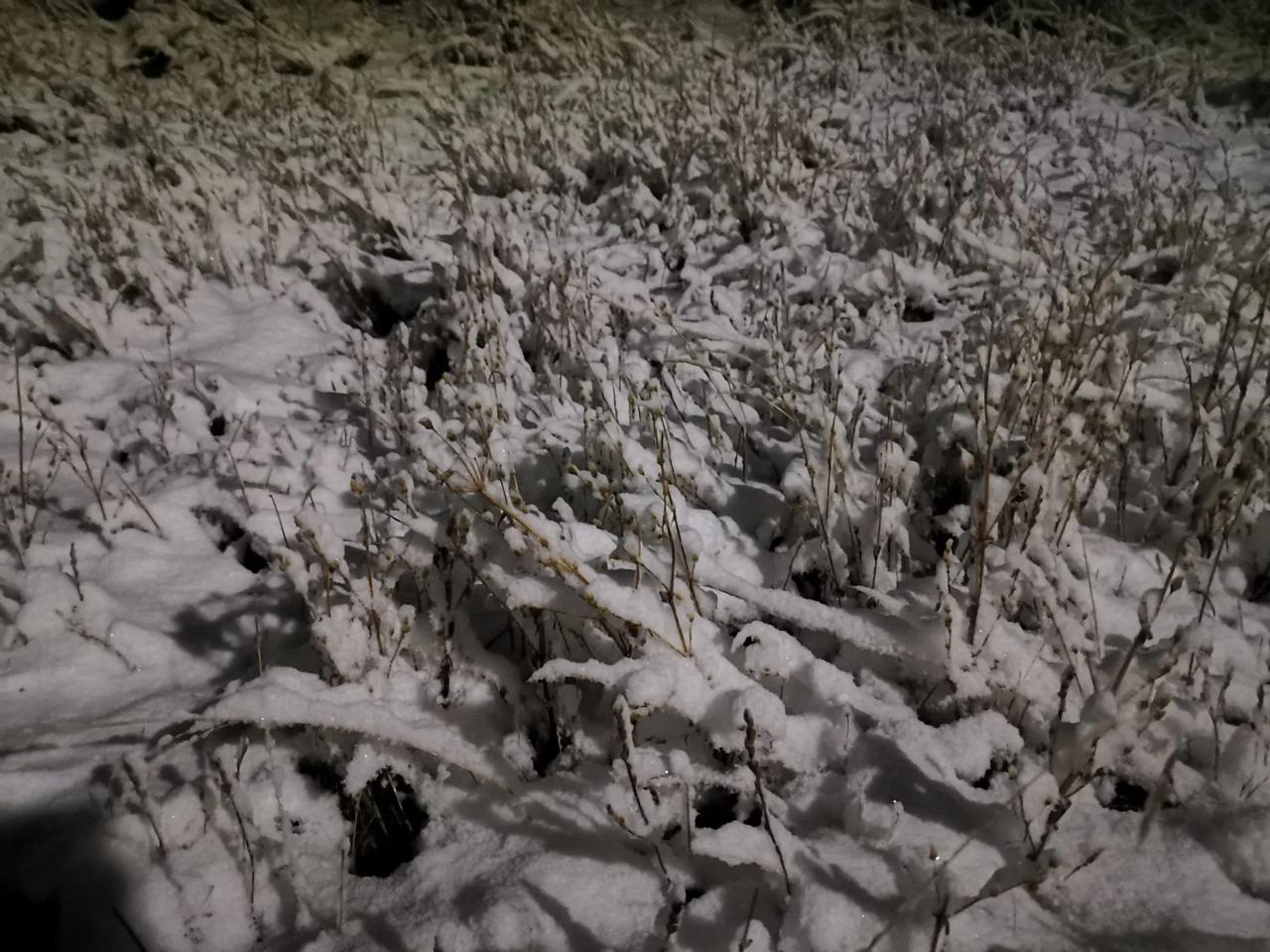 高原路上拍的雪景和夜晚野营时拍的雪景[呲牙]。