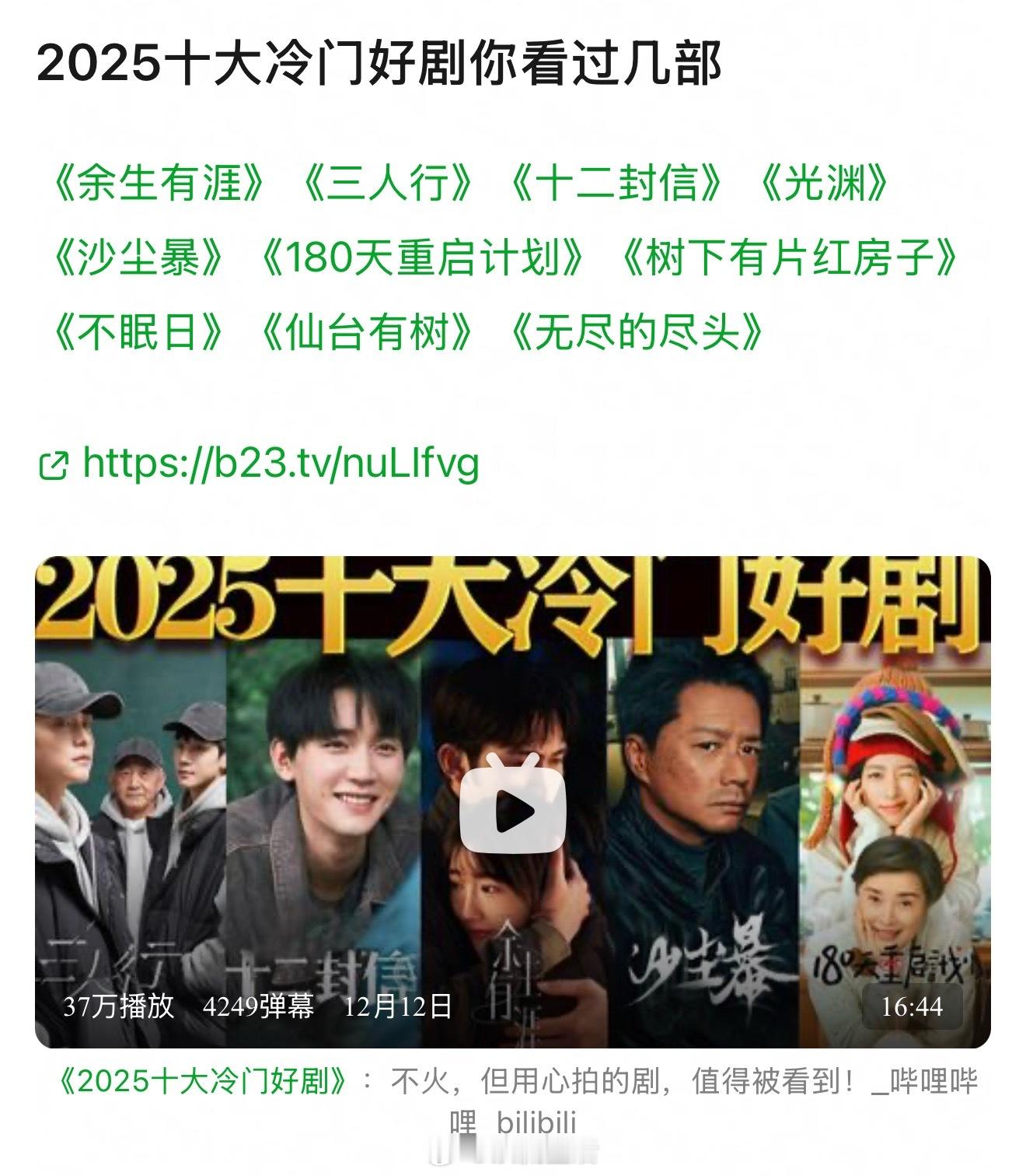 粉丝投稿2025年度10大冷门好剧，大家看过哪部？我看过沙尘暴，绝对精品剧集。 