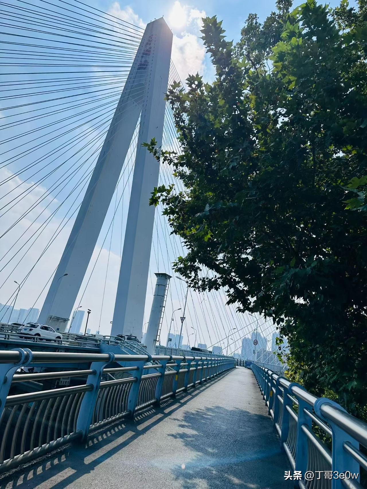 【昨日客流】
10月13日（周二）
武汉城市轨道交通线网客运量（含换乘）为390