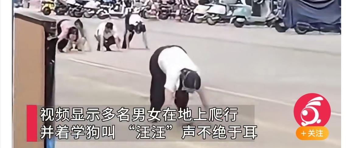 你能想象吗？10月16日，广东惠州街头竟出现多人爬行学狗叫的诡异场景，是行为艺术