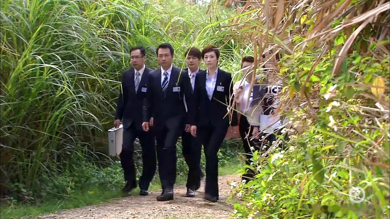 终于知道小时候为啥老想着工作了，因为我是看港剧长大的啊！上班精致办公室，同事关系
