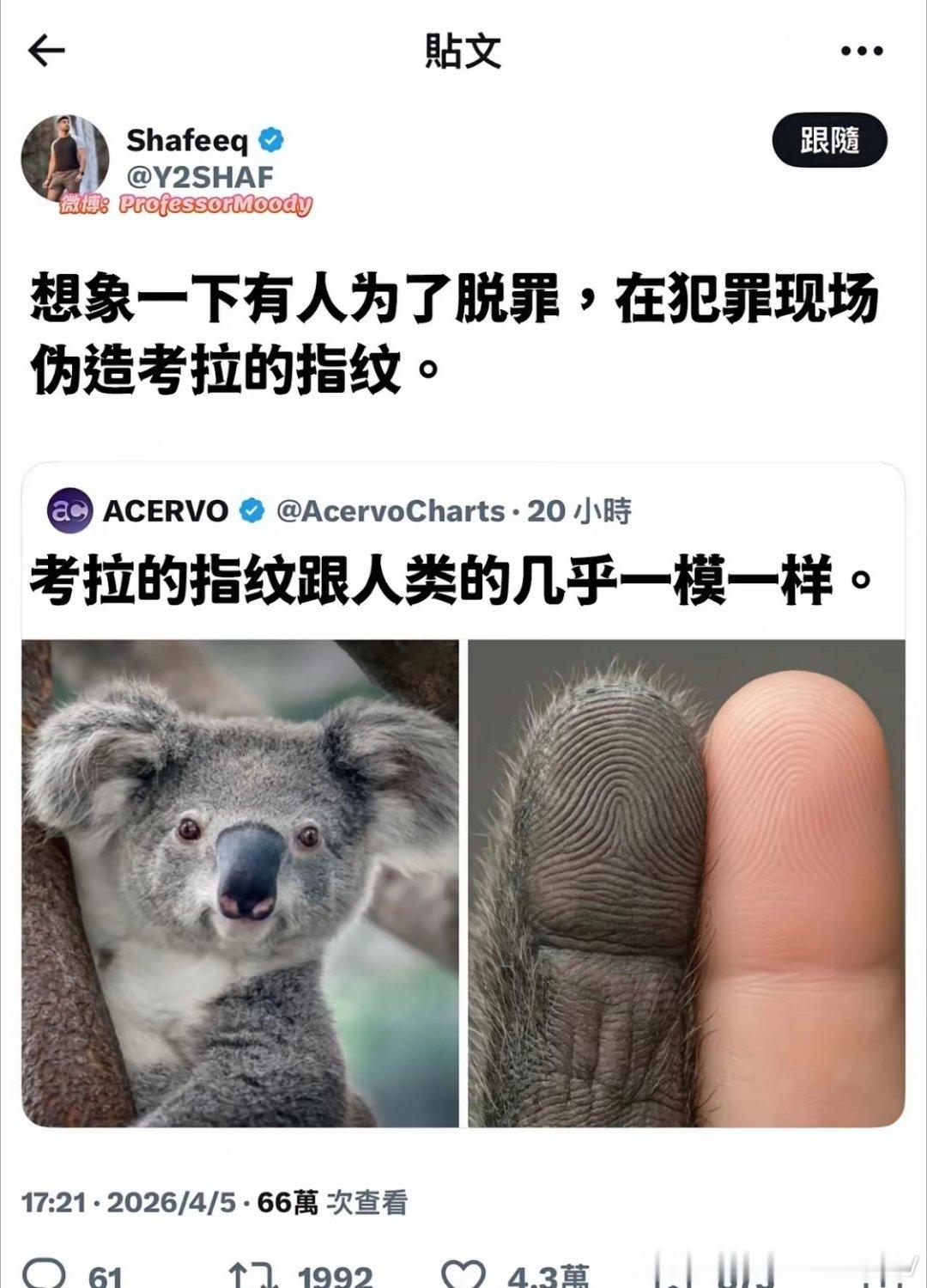 考拉也是一一斗穷二斗富吗？ 