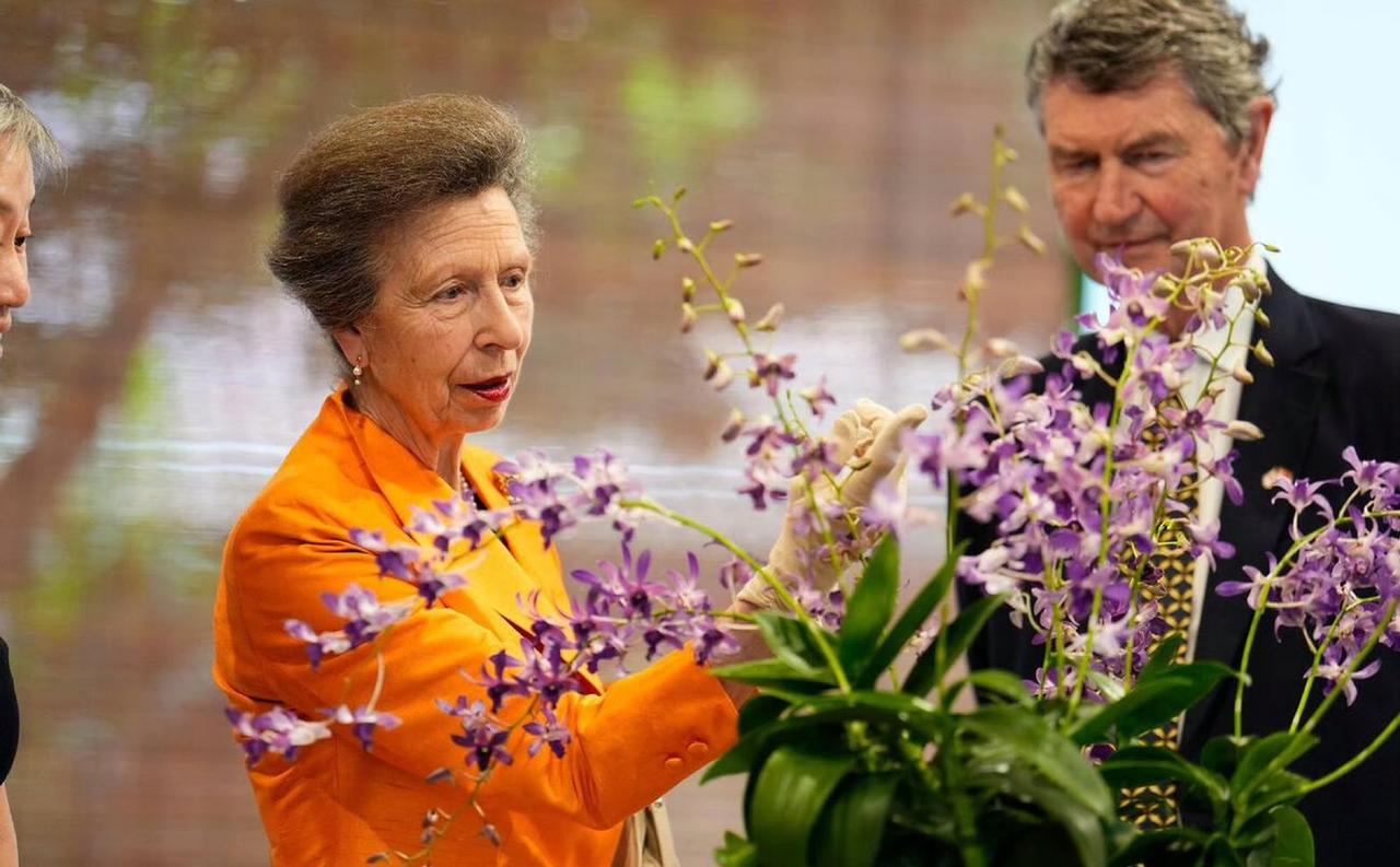 英国安妮公主与丈夫一起在新加坡出席英国与新加坡建交50周年的活动。
在新加坡的植