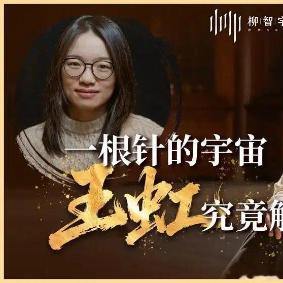 《一根针的宇宙 王虹究竟解决了什么人生破局柳智宇王虹菲尔兹奖人生智慧》播放量：3