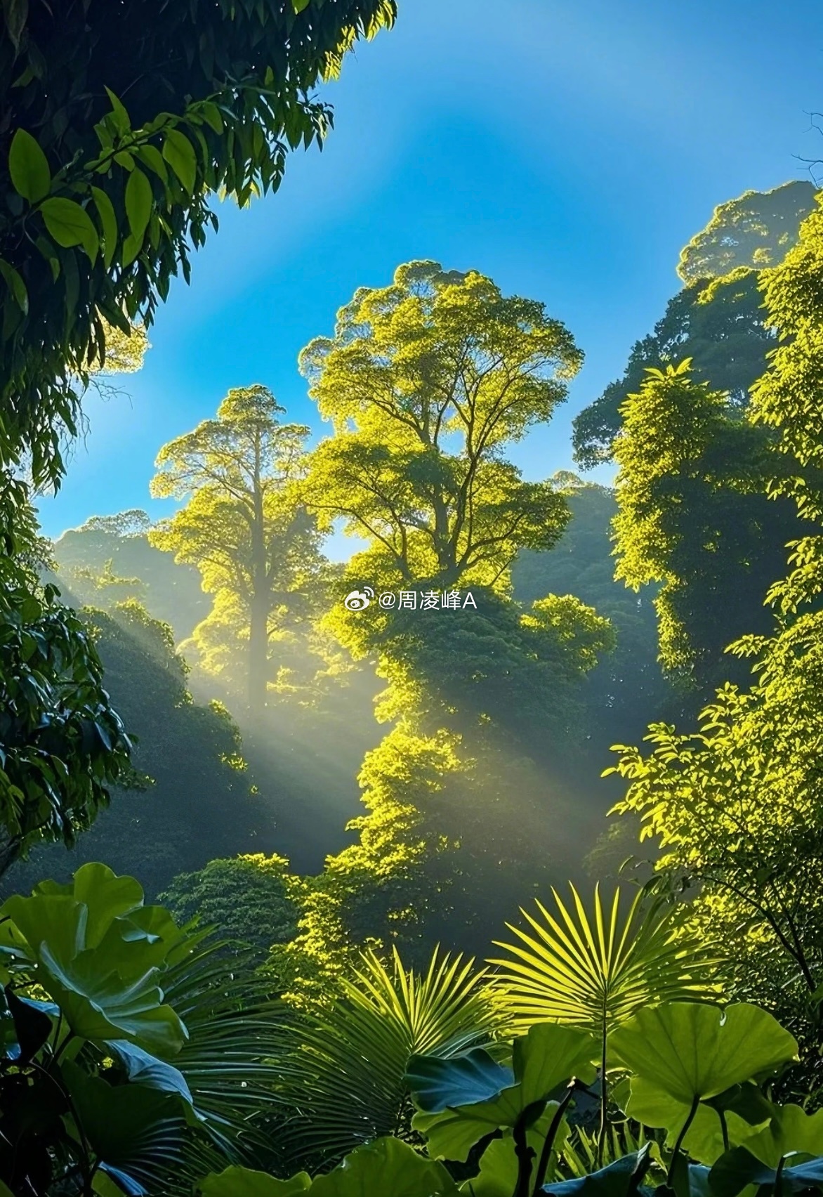 平安喜乐，万事顺遂每日一善阳光信用