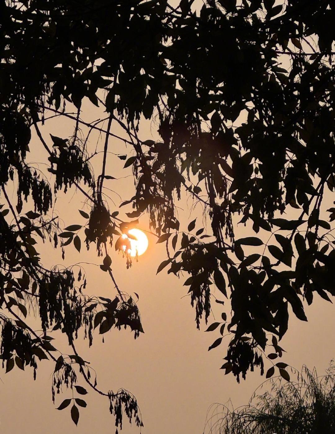 抓住季节里的温度