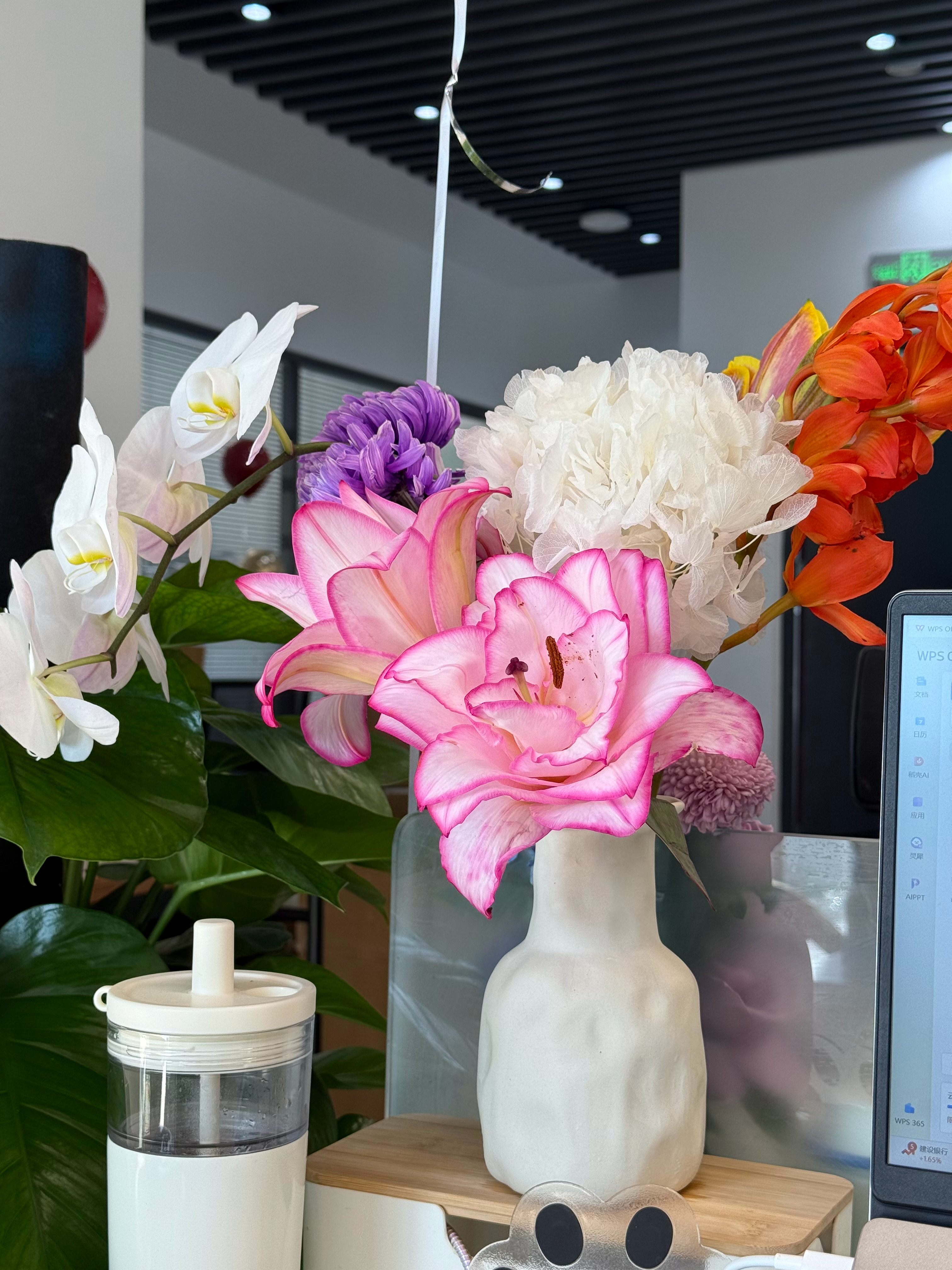 我赏心悦目的工位🌸 