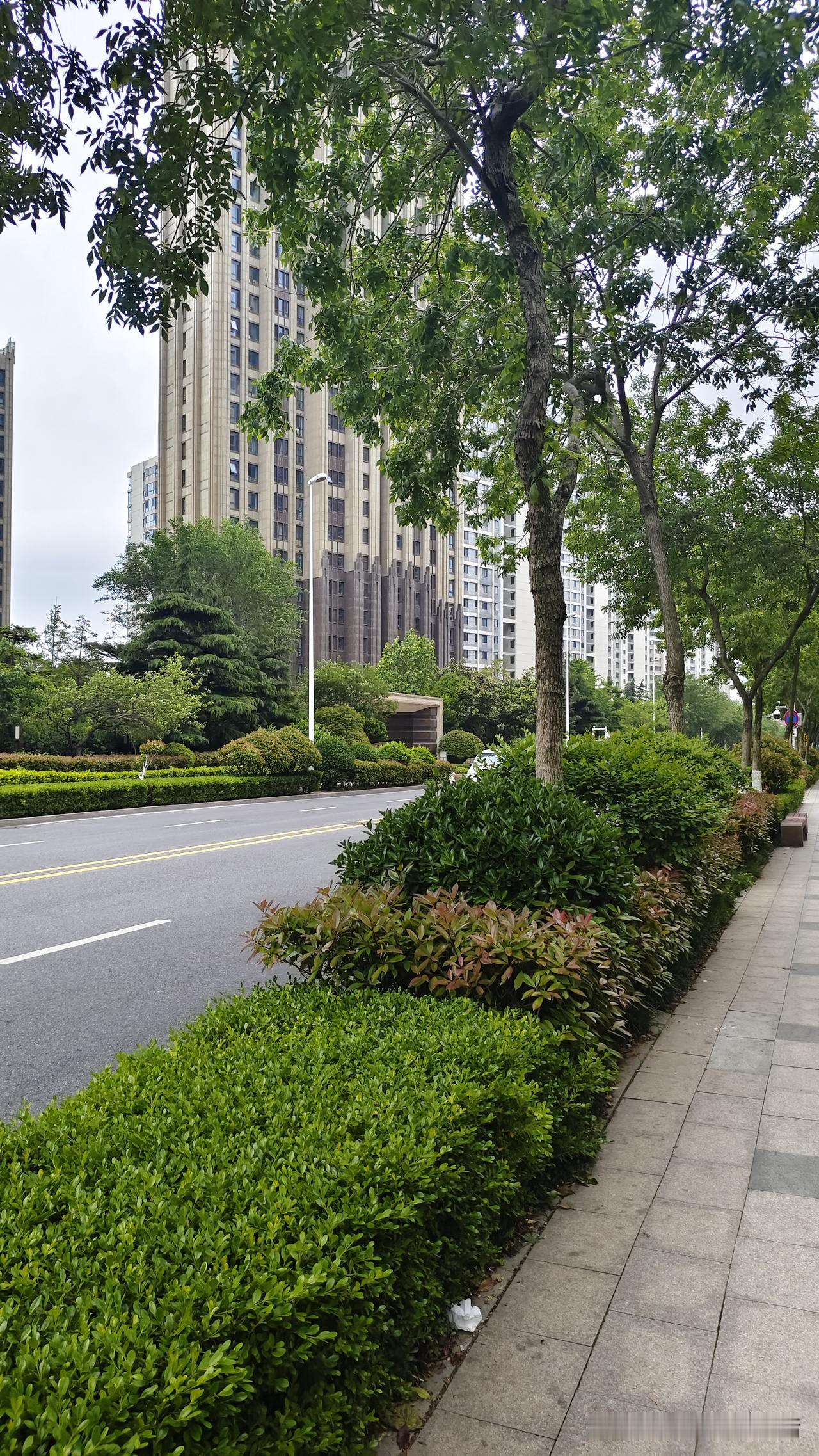 我每天出门打柔力球，穿行在麦岛家园，总能被满满的幸福感治愈。如今的麦岛，早已告别