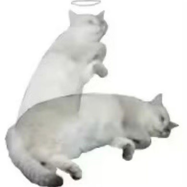 …