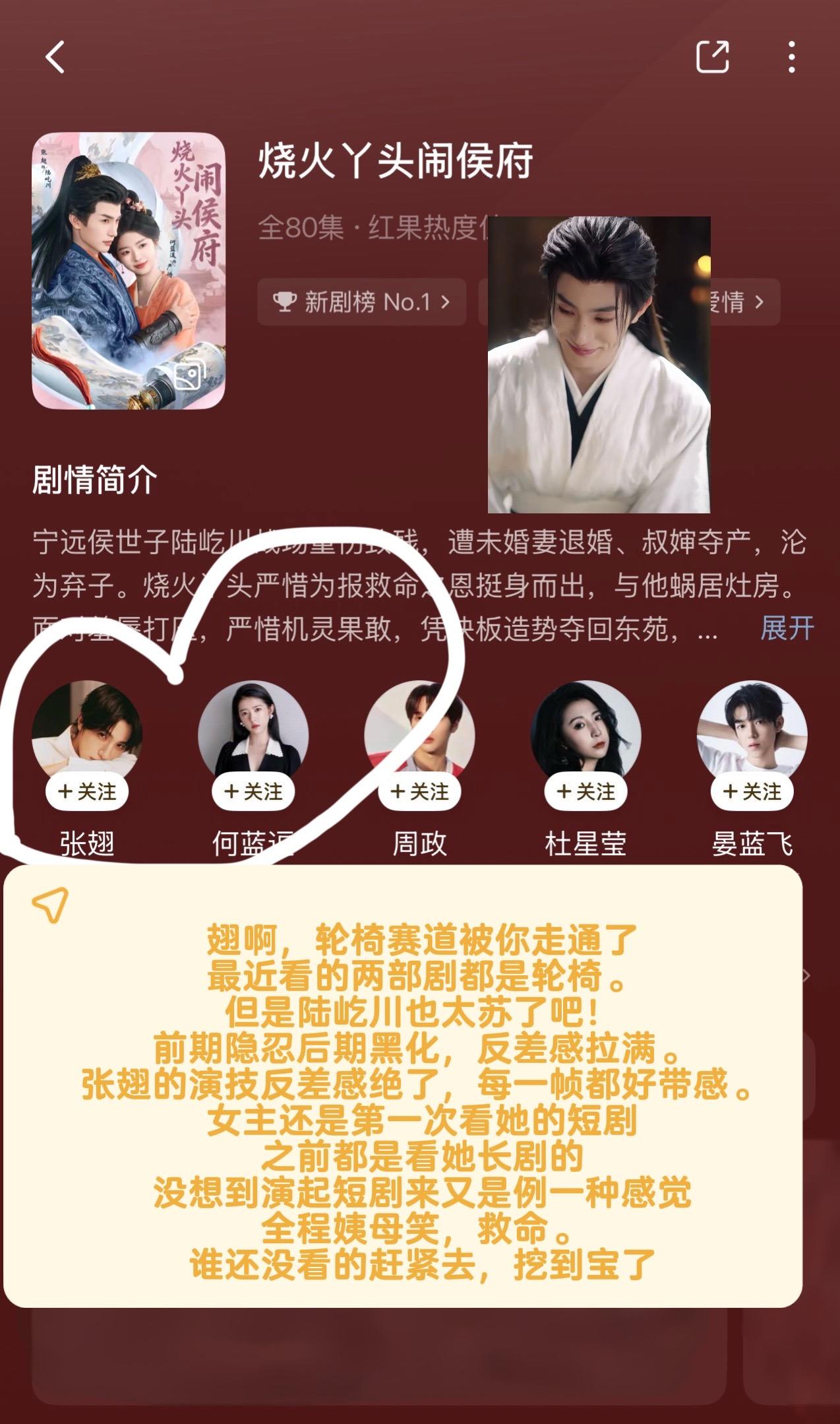 张翅，轮椅男主专业户实锤了。