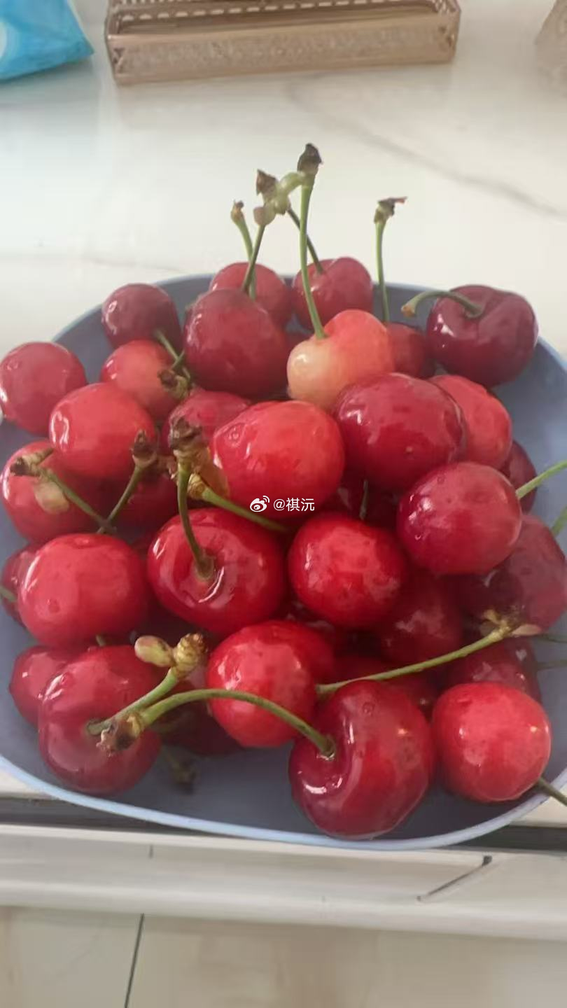 丁卯君在甘肃当地给我们发来一张照片，说当地的樱桃你猜猜多少钱？我说十块？他说才两