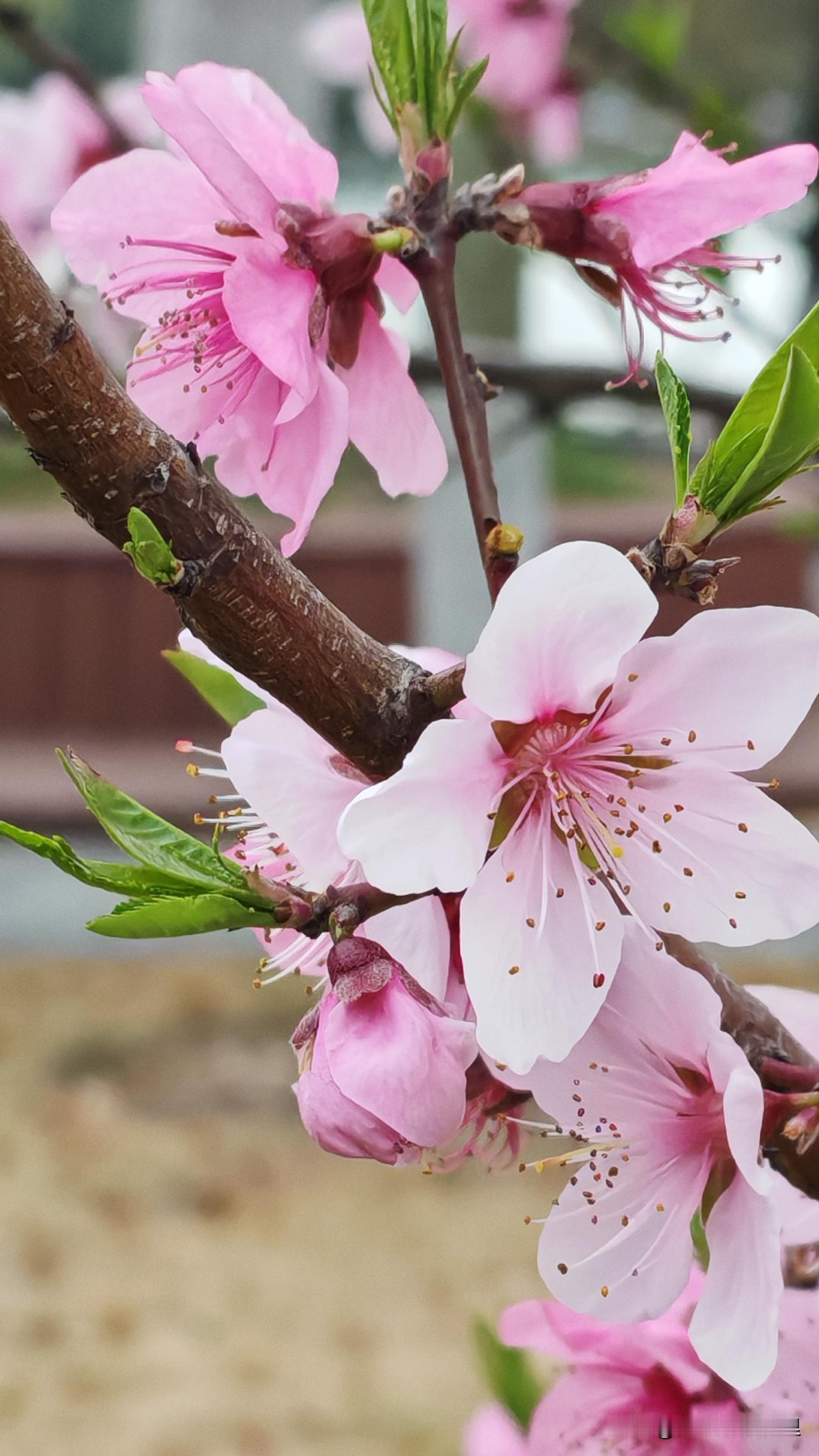 企业如何实现降本增效?制造业面对“小批量多批次”的定制订单（如精密仪器配件），可