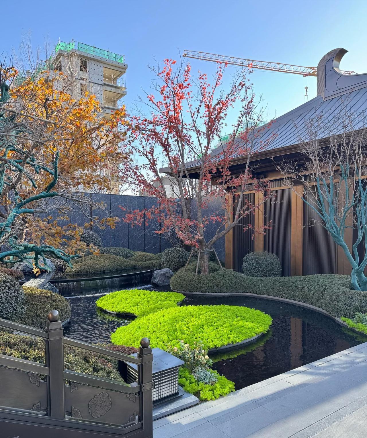 网红“一路向北”的“跌”，和专家孟晓苏的“涨”谁说的对？你更相信谁？

目前，市