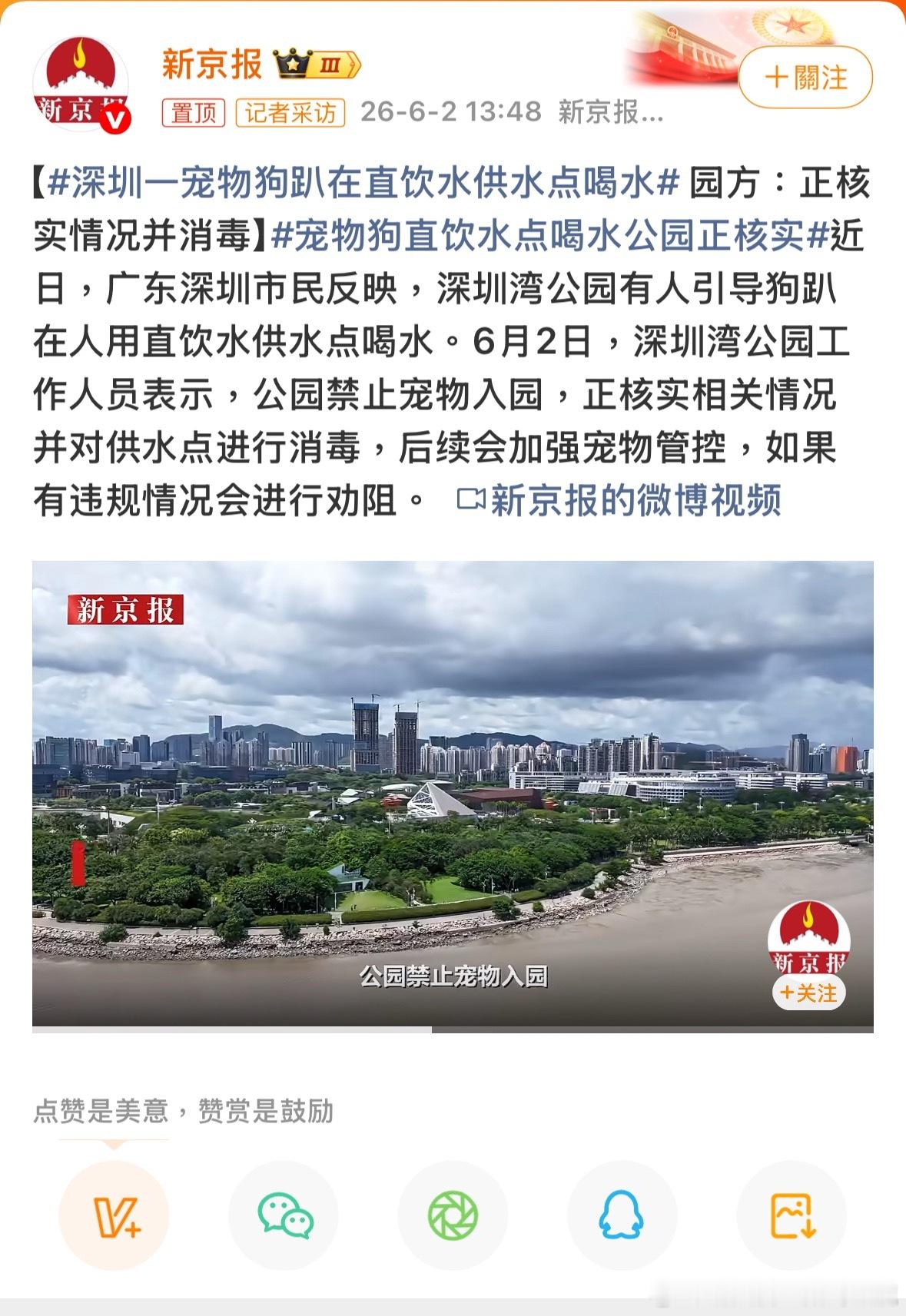 又一次證明了狗主比狗更討厭深圳一宠物狗趴在直饮水供水点喝水宠物狗直饮水点喝水公园