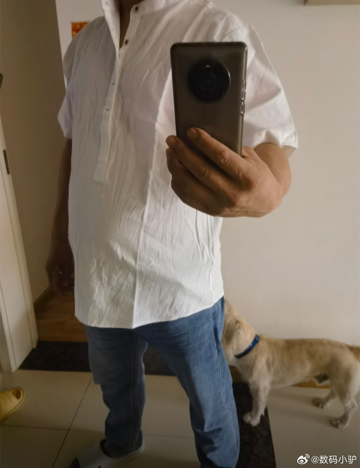 看到个清爽的衬衫，想买，再看买家秀，算了，还是别了
