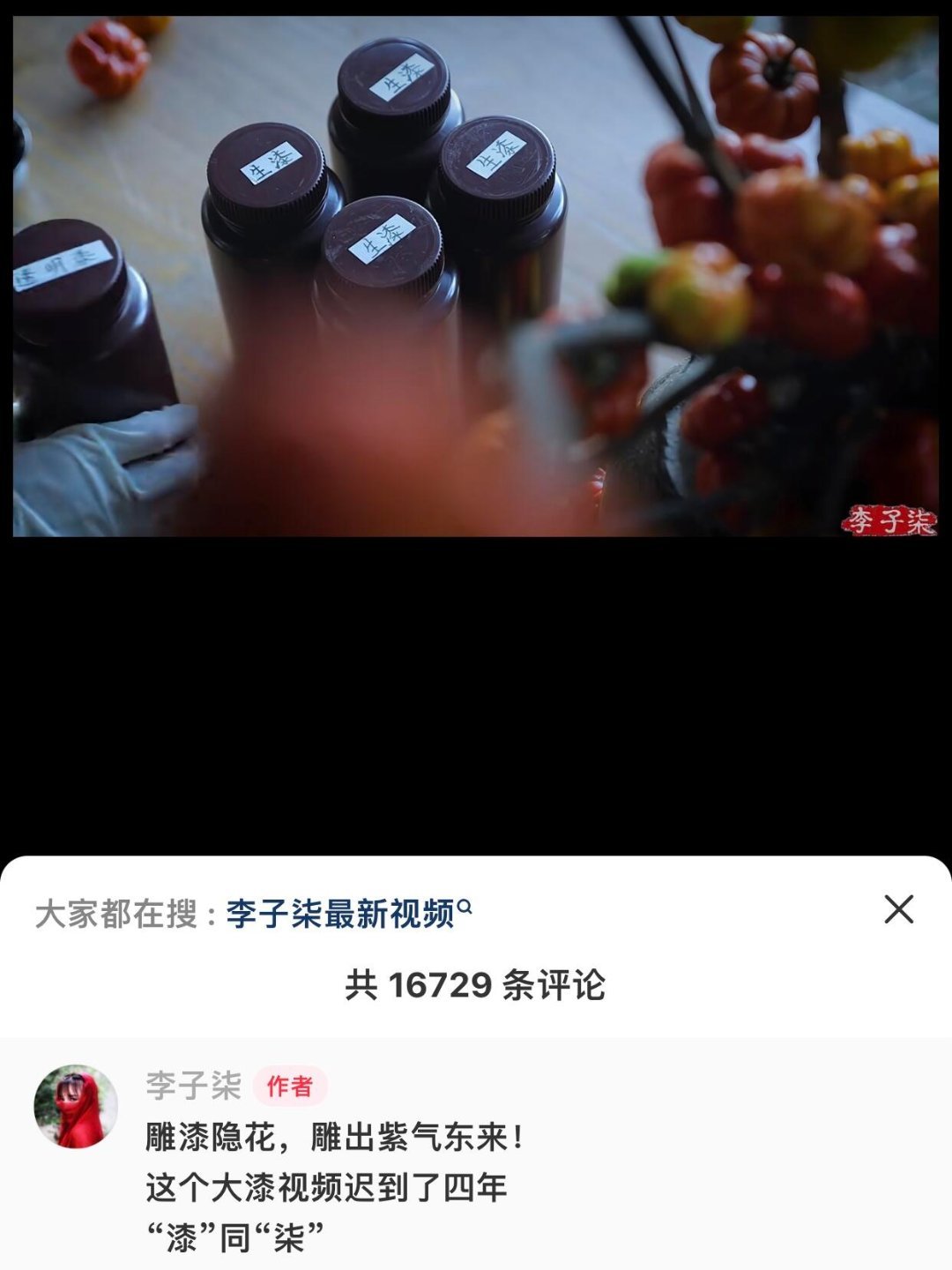 #李子柒把漆字写错了#虽然但是。。李子柒把漆字写错了。#李子柒回归##李子柒# 