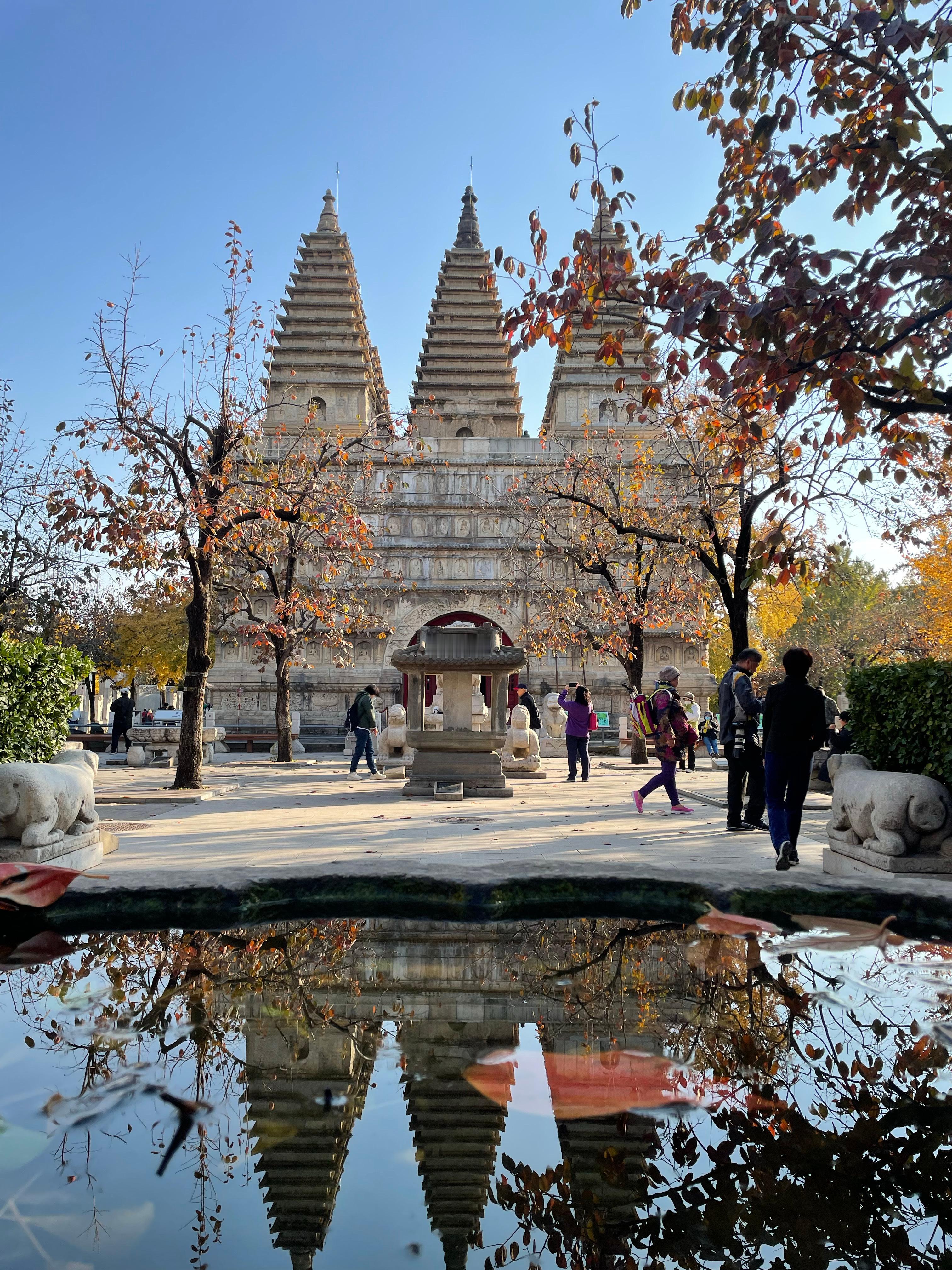 推荐秋天的五塔寺，落叶美到爆炸北京五塔寺原来有这么多名字 ​​​