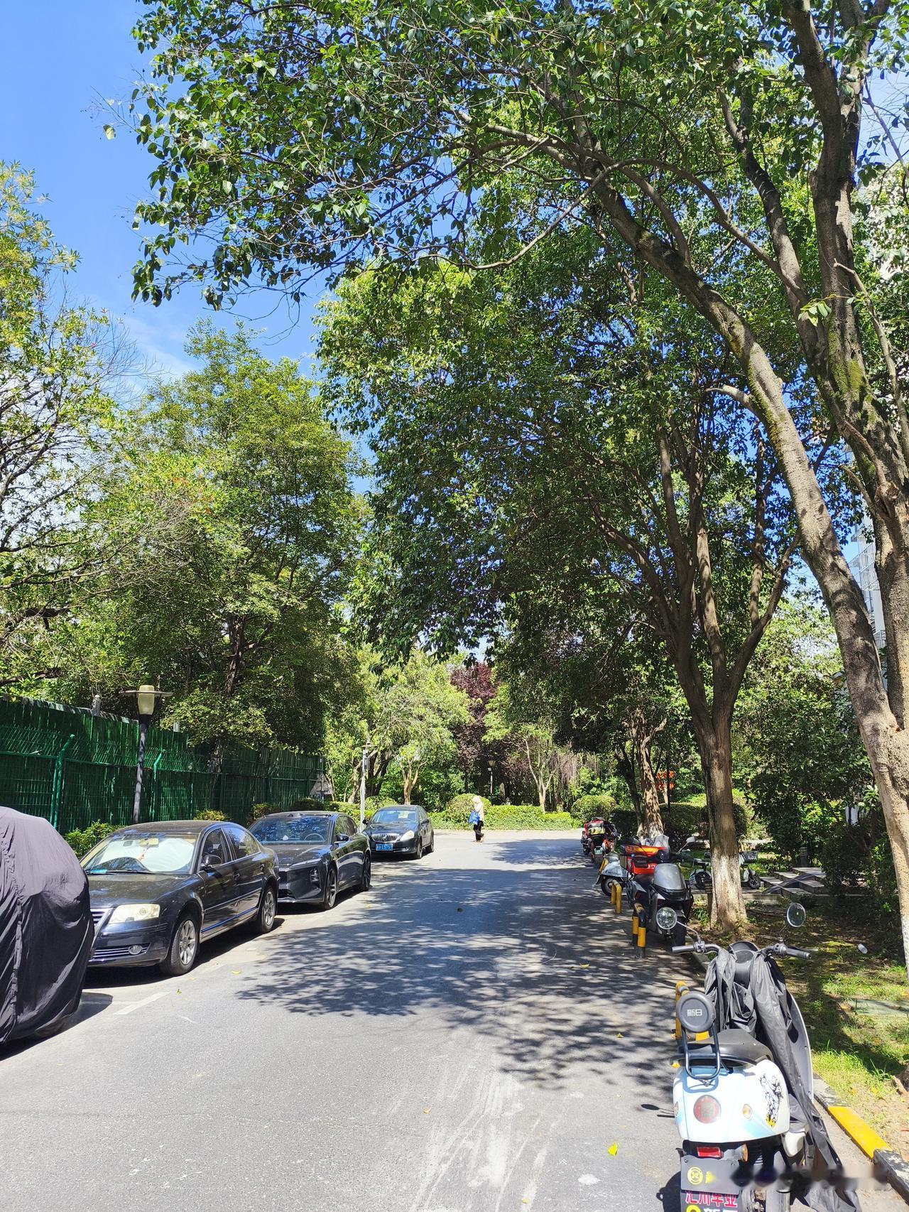 这几天南京热得离谱，真就成了滚烫的熔炉。走在大街上，感觉自己像块待烤的肉，每吸一
