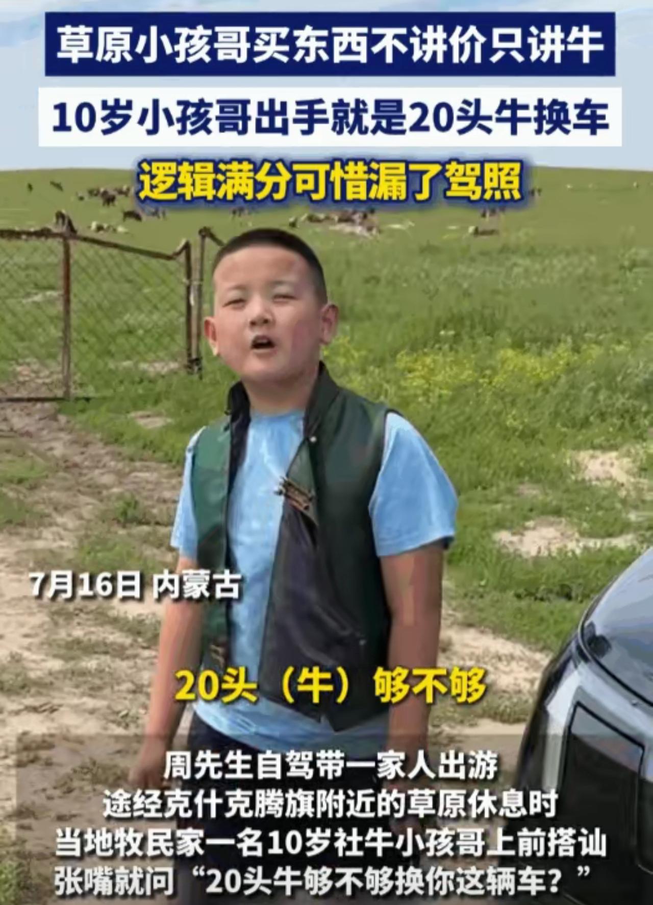 全网笑疯！草原10岁小孩哥硬核谈交易：20头牛换豪车，直言三亚有房

贫穷限制了