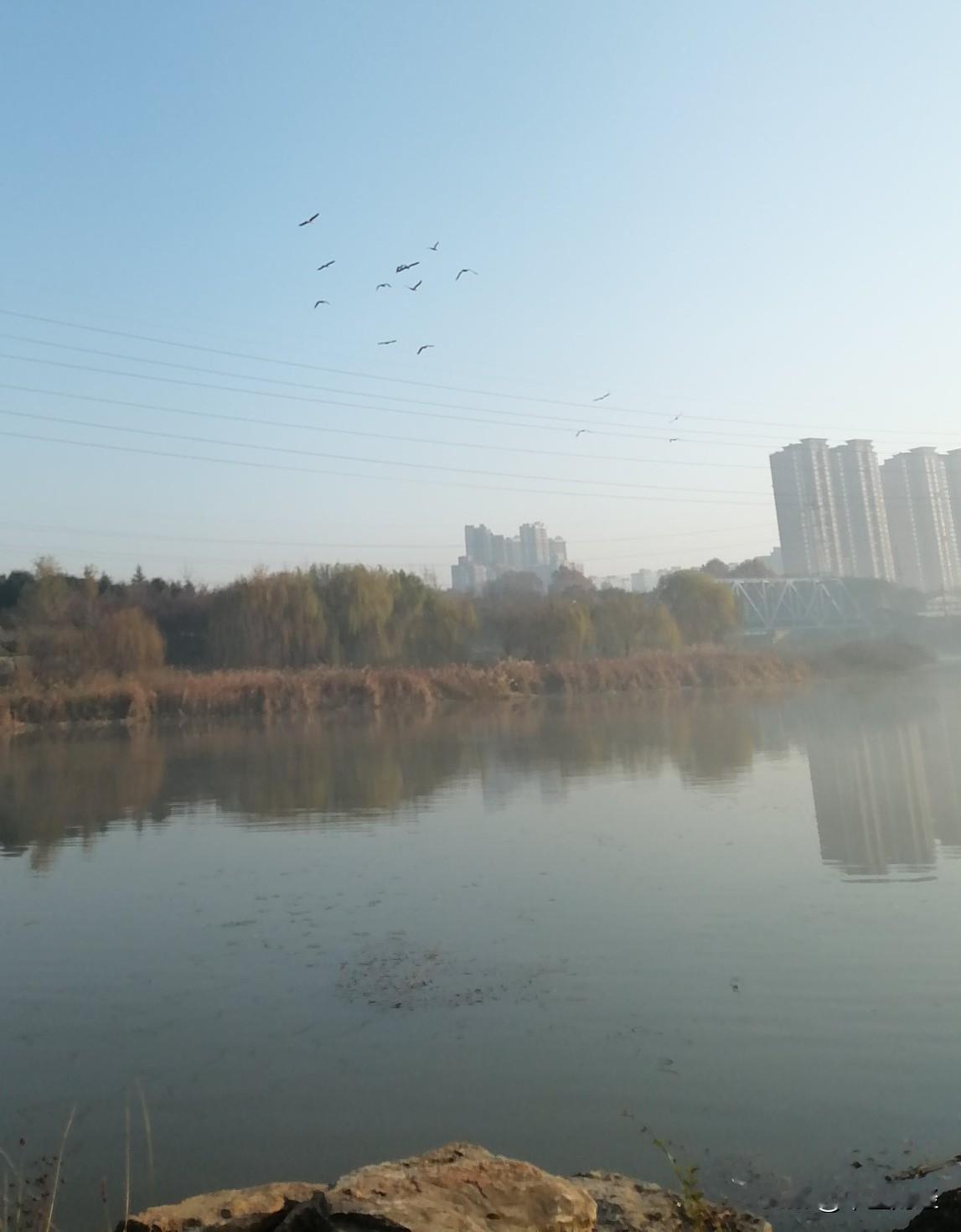 冬日生活打卡季冬天的河面上有一层雾漫漫的东西，而放眼天空，你会看到大雁在群飞。这