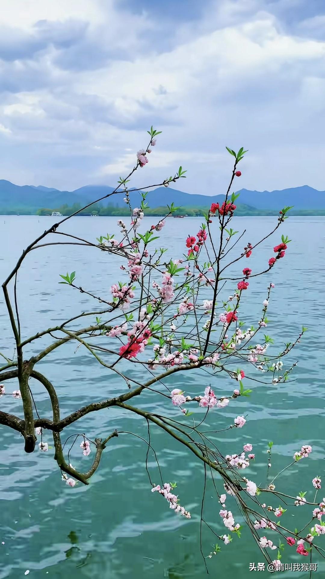 我觉得春天来了的时候，就应该出去走走，看看春暖花开，把那些美丽的景色都记在心里，