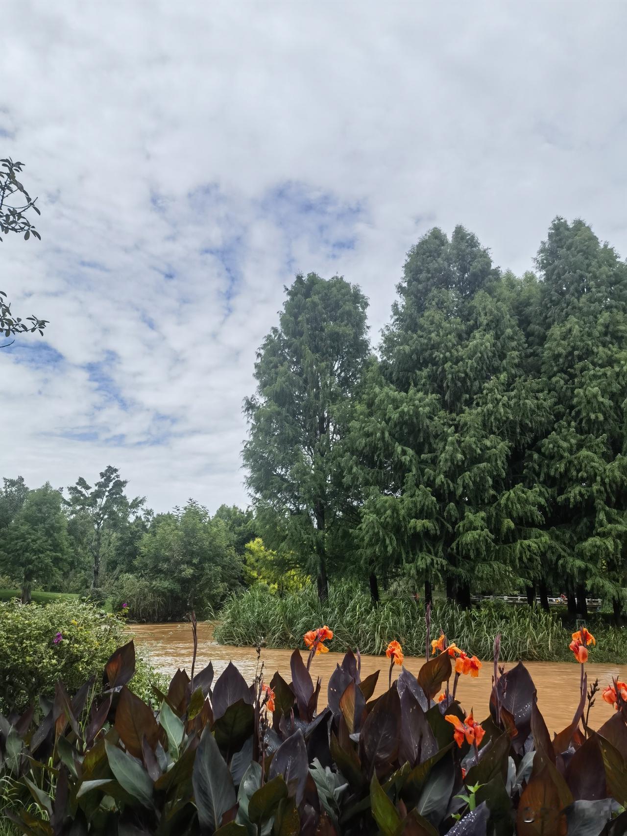 夏日生活打卡季炎炎夏日，蓝天如洗，白云悠悠，仿佛一幅动人的画卷，让人心旷神怡。