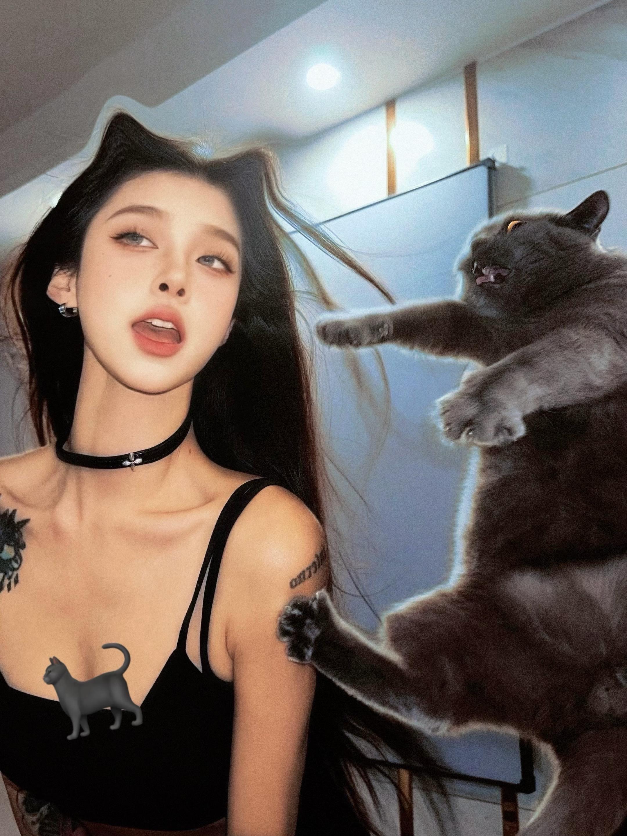 不是ai 和猫猫大人合照3则。