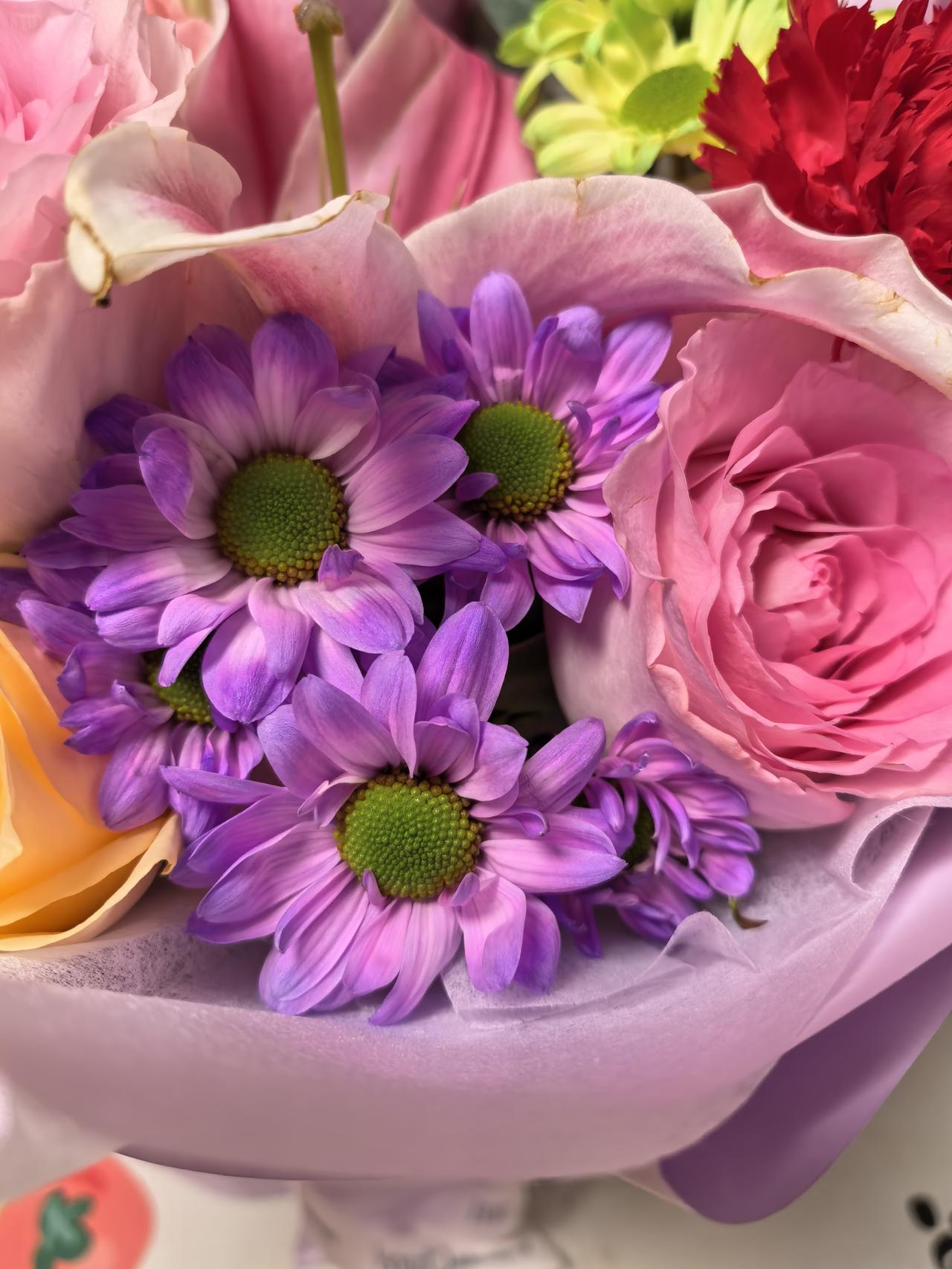 气温虽冷，但阳光很好。
生活中学会看到好的一面。