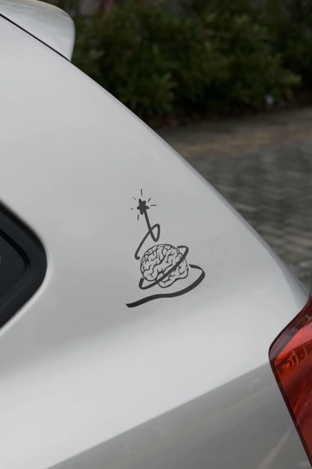 确诊为圣诞脑仁